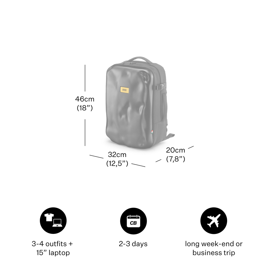 ICONIC BACKPACK